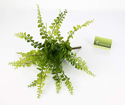 artplants.de Adiantum Artificial con 16 frondas, con Vara de Ajuste, 35cm, Ø 40cm - Culantrillo de Pozo - Flor Decorativa