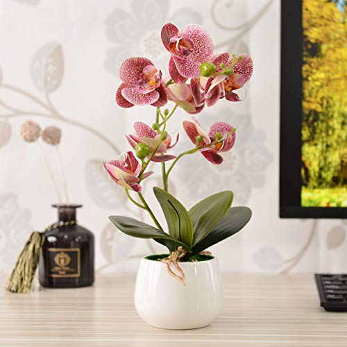 Asvert Phalaenopsis Bonsai de orquídeas de Flores Artificiales con jarrón de cerámica