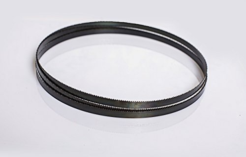 AYAO - Hoja de sierra de banda (1575 mm x 6,35 mm x 14TPI (2 hojas)