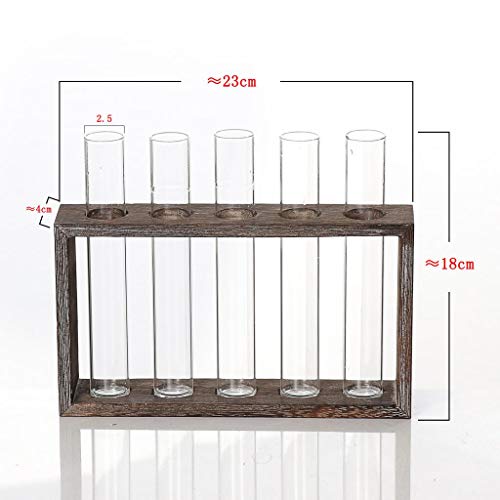 B Blesiya Tubo Jarrón de Flores Soporte de Madera para Planta Hidropónica - 5 Tubos