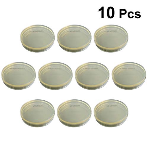 Baluue Placa de Petri - 10 Piezas de Envasado Al Vacío Desechable Determinar Equipos Placas de Agar R2a Placas de Petri para Laboratorio de Experimentos Científicos