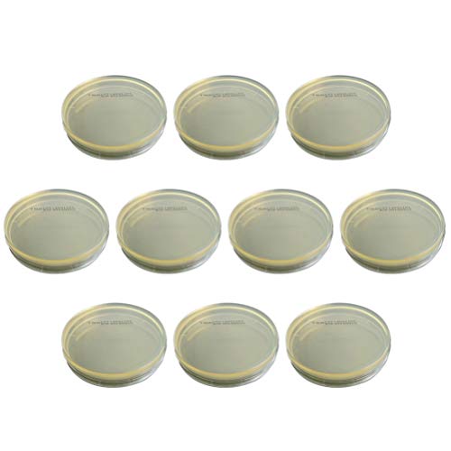 Baluue Placa de Petri - 10 Piezas de Envasado Al Vacío Desechable Determinar Equipos Placas de Agar R2a Placas de Petri para Laboratorio de Experimentos Científicos