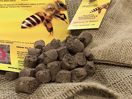 Beebombs - Pelotas de semillas de flores silvestres hechas a mano #bringthebeesback