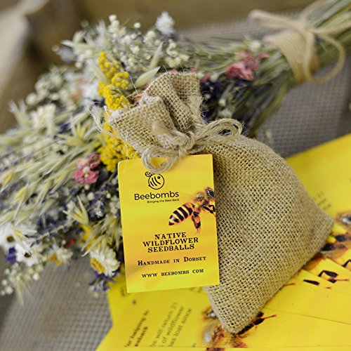 Beebombs - Pelotas de semillas de flores silvestres hechas a mano #bringthebeesback