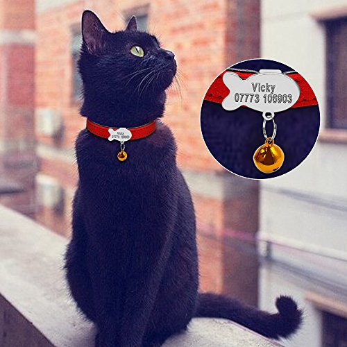 Berry personalizado acolchado collar para mascotas,Etiqueta de identificación de grabado de pescado deslizante para perros pequeños gatos,XS