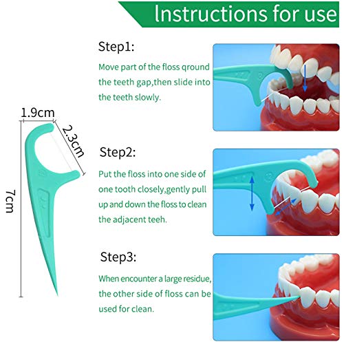 BEYAOBN Hilo dental 300 Piezas para interdental oral limpieza menta Palillos de hilo dental Plástico con estuches portátiles perfectos para la familia, hotel, viajes