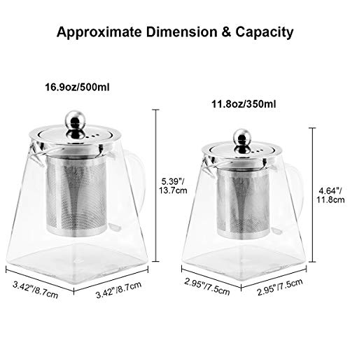BONNACC Tetera de Vidrio 500ml con Filtro Infusor de Acero Inoxidable Resistente al Calor, Té y Café