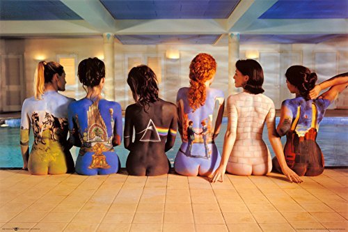 Buyartforless Laminado de Pink Floyd – Back Catalogue Póster de 36 x 24 en