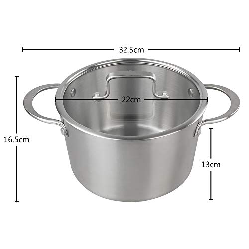 Cadine 4-4.5 L Olla De Cocina Con Tapa, Olla De Acero Inoxidable