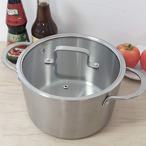 Cadine 4-4.5 L Olla De Cocina Con Tapa, Olla De Acero Inoxidable