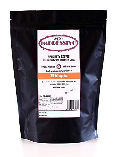 Café Especialidad de Coffee Impressivo de Etiopía, tostado hábilmente en África, Top 5% de café en el mundo, 100% Arábica, grano entero de origen único, tostado medio, 350 g (12.34 oz)