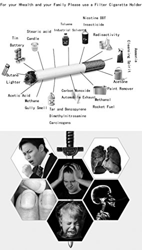 CaLeQi: boquilla filtrante para el humo del tabaco 24 K dorada y plateada, reutilizable, para filtrar el alquitrán, con recipiente para la ceniza (con una caja de regalo de marca)