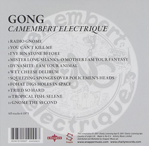 Camembert Electrique