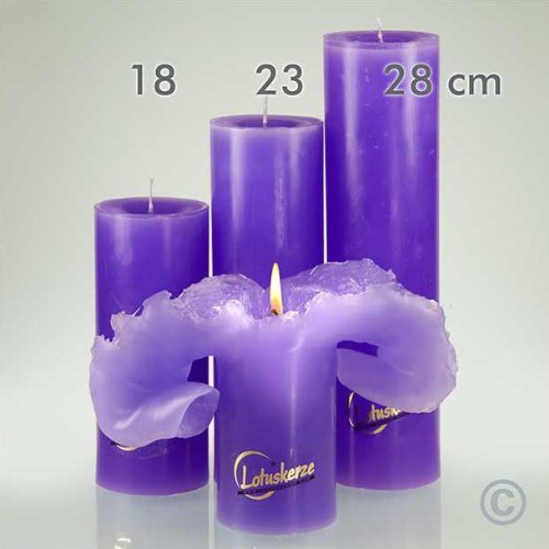 Candela velas de lotus, color lila basic, 23 cm