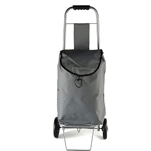 Carrito de la compra Plegable de edad avanzada Carro Carros de la cesta La cesta subir escaleras conveniente hierro bolsa de tela carro del equipaje Para comprar ( Color : Gray , Size : 29*36*90cm )