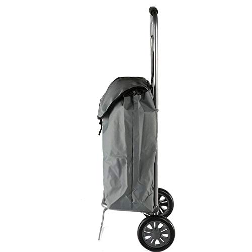 Carrito de la compra Plegable de edad avanzada Carro Carros de la cesta La cesta subir escaleras conveniente hierro bolsa de tela carro del equipaje Para comprar ( Color : Gray , Size : 29*36*90cm )