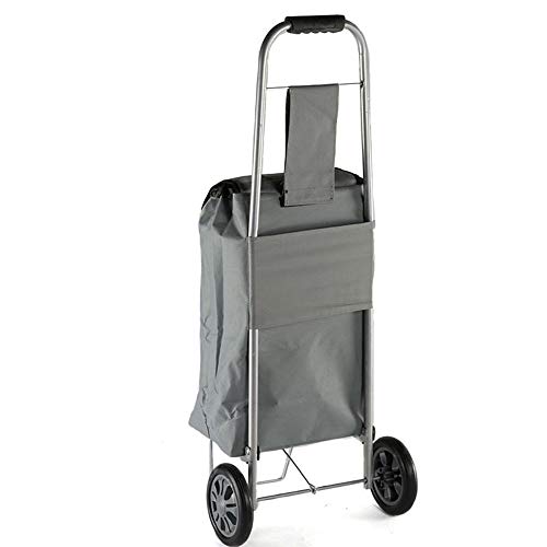 Carrito de la compra Plegable de edad avanzada Carro Carros de la cesta La cesta subir escaleras conveniente hierro bolsa de tela carro del equipaje Para comprar ( Color : Gray , Size : 29*36*90cm )