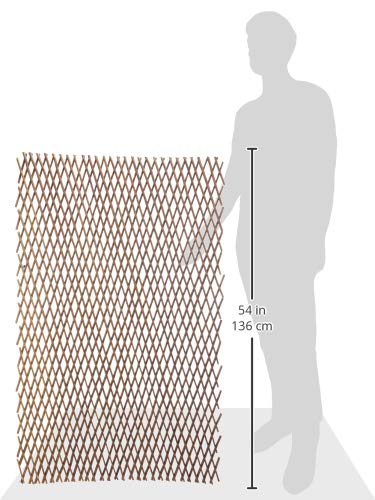 Catral 43040013 Celosía Extensible, Mimbre, 200x3x100 cm