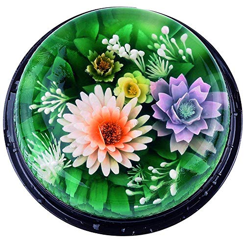 CFtrum 10PCS 3D Jelly Gelatina Herramientas del Arte Conjunto de Torta de la Flor del Acero Inoxidable Agujas Incluye Jeringa