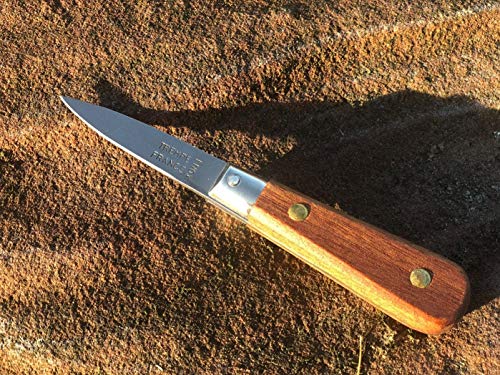 Cleminson Homewares Cuchillo francés para Abrir ostras Hecho a Mano de 14 cm, con Mango de Acero Inoxidable de Hoja Afilada y Remaches de Madera