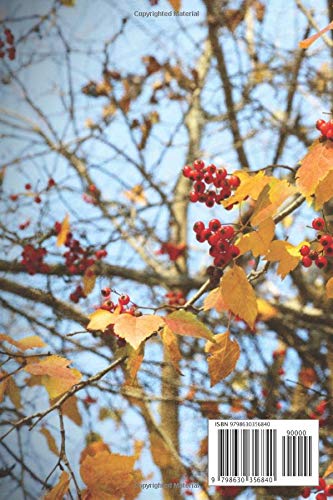 Composition Notebook: Bright Red Berries Complement Golden Yellow Leaves On A Journal Note Taking System for School and University