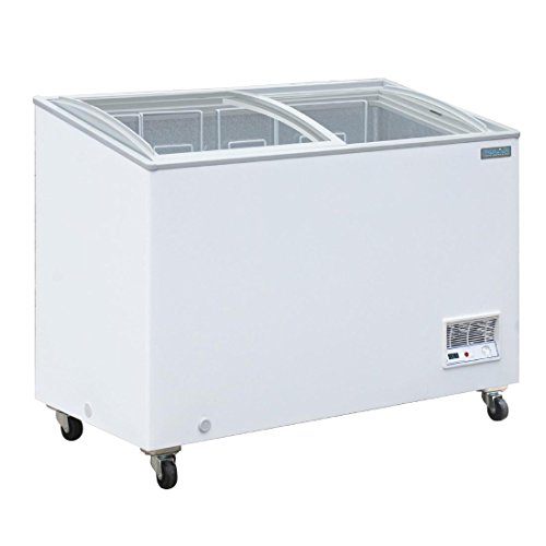 Congélateur Vitre Professionnel - 270 L - Polar