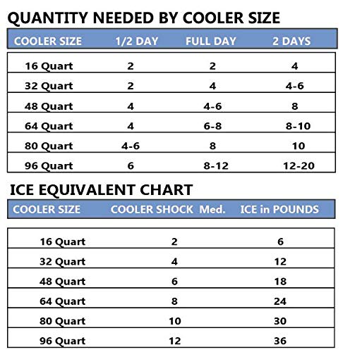 Cooler Shock 4 Paquetes de Bolsas de Hielo para Caja Enfriadora. 25cm x 25cm. Más fresco que el hielo a -7.7 Grados C, Higiénico y Reutilizable. Agregue Agua, Congele y Ahorre Dinero (paquete de 4)