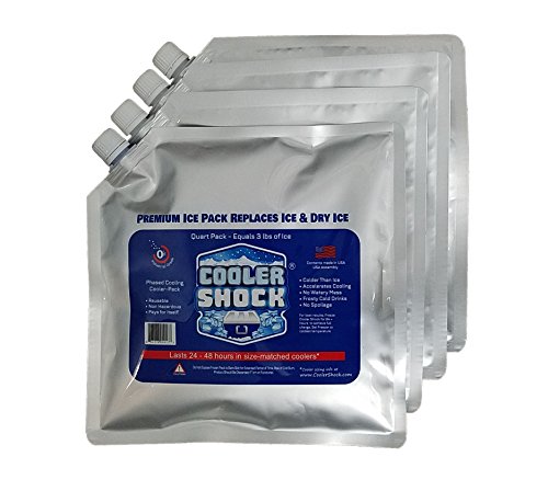 Cooler Shock 4 Paquetes de Bolsas de Hielo para Caja Enfriadora. 25cm x 25cm. Más fresco que el hielo a -7.7 Grados C, Higiénico y Reutilizable. Agregue Agua, Congele y Ahorre Dinero (paquete de 4)