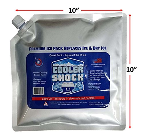 Cooler Shock 4 Paquetes de Bolsas de Hielo para Caja Enfriadora. 25cm x 25cm. Más fresco que el hielo a -7.7 Grados C, Higiénico y Reutilizable. Agregue Agua, Congele y Ahorre Dinero (paquete de 4)