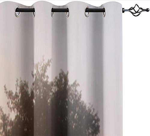 Cortinas de impresión de Sombra, Cortinas de Fibra de poliéster 3D con Flores de Pasto, decoración Interior Fresca, Cortinas Opacas Altas (59" W x 65" H), Juego de 2 Paneles