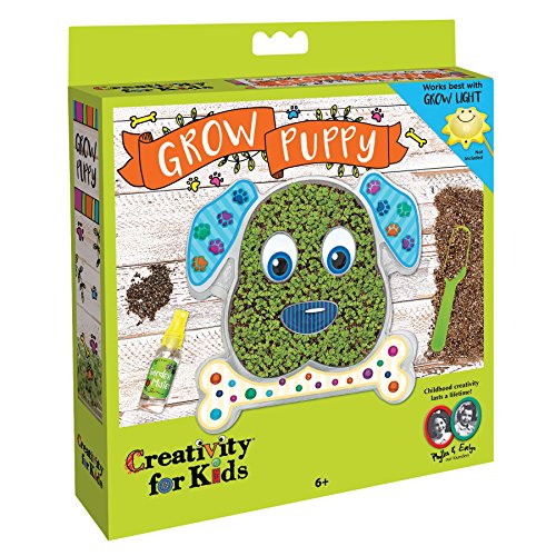 Creativity For Kids 6122 - Kit de cultivo para niños