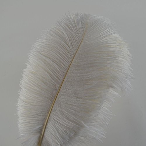 Crenze 10 Plumas de Avestruz 30 a 35 cm para decoración de Bodas (10 Colores)