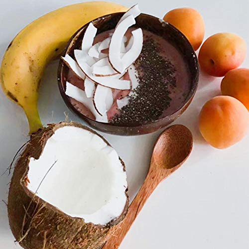 Cuchara de madera cuchara de coco de madera cuchara de miel de madera de palma juego postre mango largo cuenco de cáscara de coco vajilla de bambú tropical cuchara de agitación de té