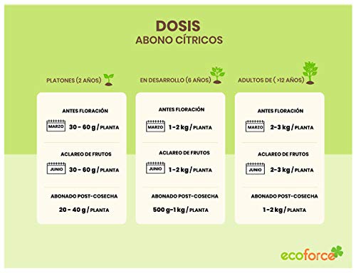 CULTIVERS Abono Ecológico Cítricos de 25 Kg Fertilizante Origen 100% Orgánico y Natural Microgránulado. Mayor Rendimiento y Aumento del Calibre del Fruto