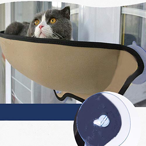 CVERY Cama montada en Ventana para Gato con ventosas – Perca para Ventana de Gato – Tumbona de Reposo – Sofá de Reposo Seguro para Gatos pequeños y medianos