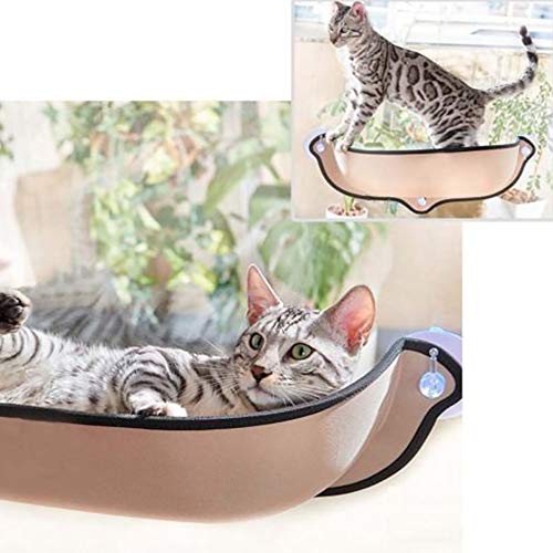 CVERY Cama montada en Ventana para Gato con ventosas – Perca para Ventana de Gato – Tumbona de Reposo – Sofá de Reposo Seguro para Gatos pequeños y medianos