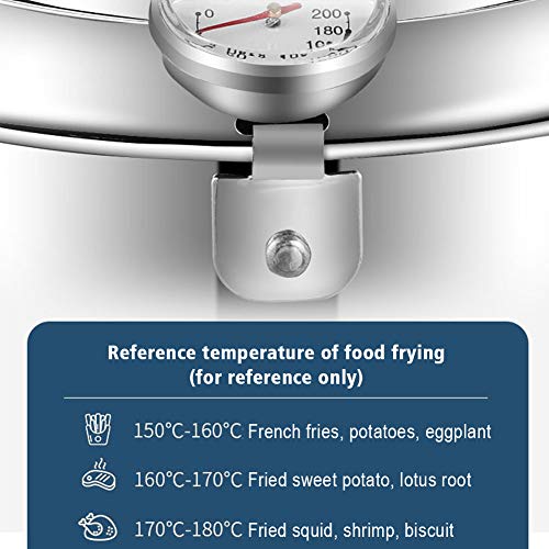 CVERY - Freidora, sartén para patatas fritas Tempura con control de temperatura con tapa con tapa abatible y soporte de filtro de aceite extraíble, olla japonesa de acero inoxidable