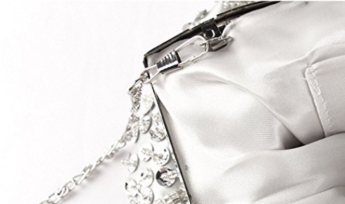 DA BODAN Vintage floral con cuentas bordado embrague de lentejuelas banquete de boda bolso de fiesta damas nupciales bolso de noche de crossbody (plata)