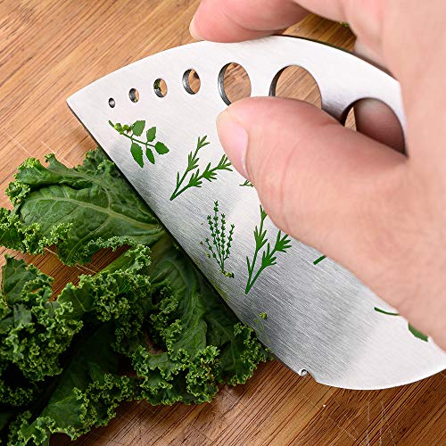 Daimay - Pelacables de hojas de hierbas con picador de acero inoxidable para cocina, 2 en 1 hojas con soporte protector para col rizada, cilantro, romero, perejil y collard de perejil