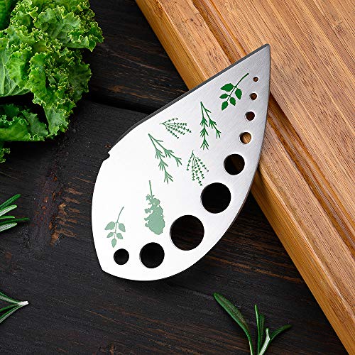 Daimay - Pelacables de hojas de hierbas con picador de acero inoxidable para cocina, 2 en 1 hojas con soporte protector para col rizada, cilantro, romero, perejil y collard de perejil