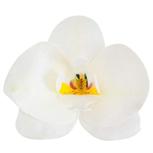 Dekora Paquete de 10 orquídeas de oblea comestibles en Decoraciones para Pasteles, Blanco