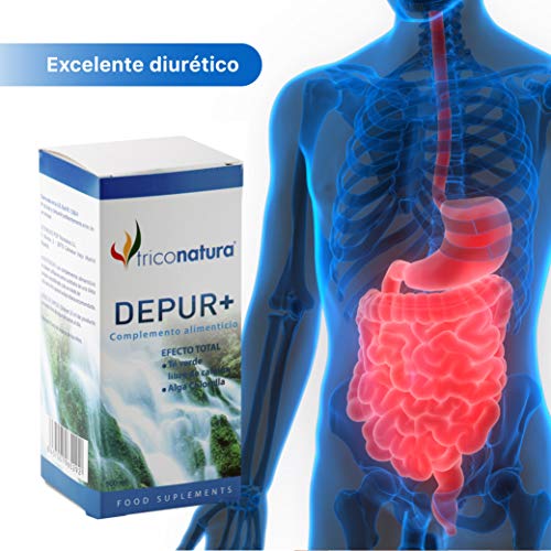 Detox adelgazante Diurético Natural Depurativo Hígado Natural Drenante Elimina y Desintoxica Toxinas Antioxidante 500ml DEPUR+. Fórmula con Te verde para adelgazar rapido para hombre y Mujer.