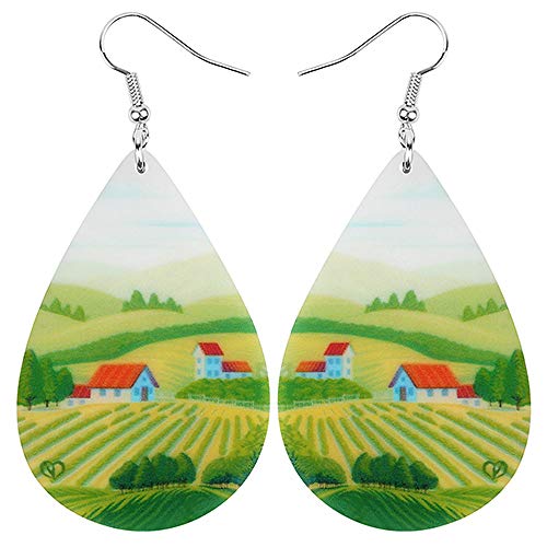 DFHTR Pendientes De Acrílico Lágrima Casa Rural Tierras De Cultivo Colgar Joyería para Los Pendientes De Las Mujeres Niñas Niños Encanto Decoración Regalos De Fiesta