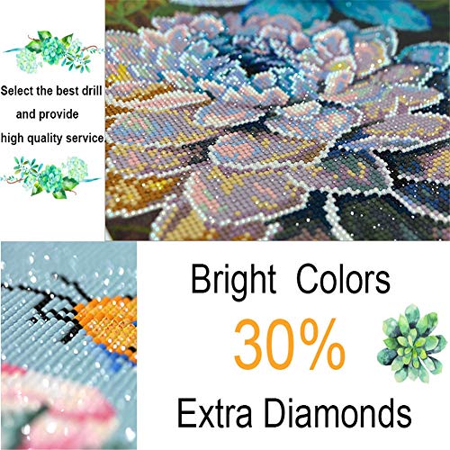 DIY 5D Pintura de diamantes completo taladro Kits Mariquita Diamond Painting adultos bordado Rhinestone Cristal punto de cruz para el hogar Decoración Pared Artesanía Round drill,50x60cm