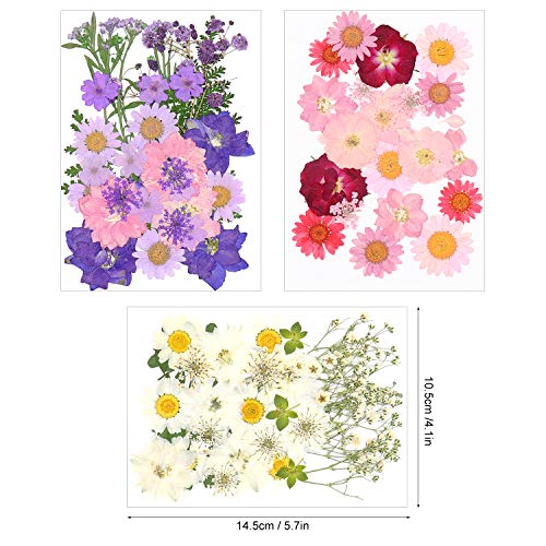 Dreamtop 90 pétalos de flores secas naturales mezcladas con múltiples hojas secas de flores para bricolaje vela de resina joyería colgante de uñas manualidades arte decoración floral