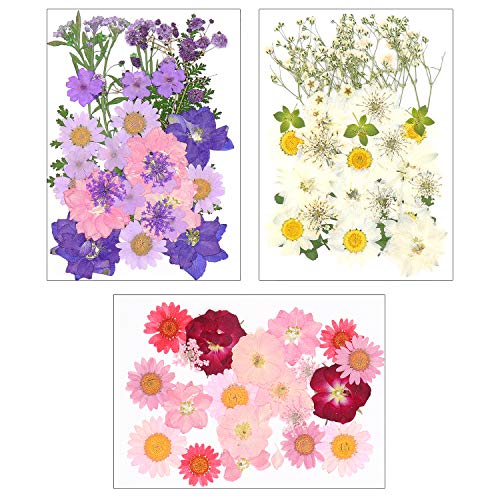 Dreamtop 90 pétalos de flores secas naturales mezcladas con múltiples hojas secas de flores para bricolaje vela de resina joyería colgante de uñas manualidades arte decoración floral