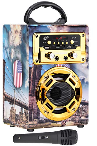 Dynasonic 120-3 - Mini Altavoz Bluetooth Portátil, Color Dorado