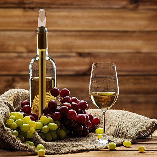 Enfriador de Vino VINOCARE - Función 3-en-1 : Tapón Decantador y Enfriador de Botella con Vertedor Anti-gota incorporado - Mantiene todos los tipos de vino a una temperatura óptima