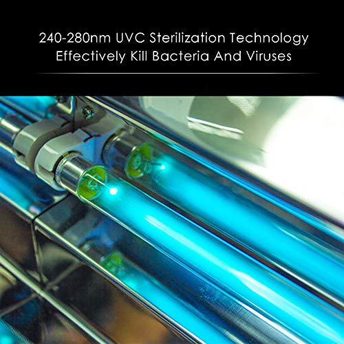 Esterilizador UV, TOPQSC Esterilización Rápida 99.9%, Caja desinfectante ultravioleta para Teléfonos, joyas, Relojes, Gafas, Máscaras, sterilizadora Multifuncional