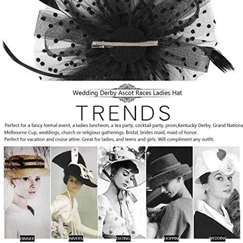 Fashband Tocado para novia con diseño de jaula de pájaros,con plumas de malla en una diadema y un clip para cóctel para fiestas de té Derby Kentucky Races,ceremonia de boda para niñas mujeres (negro)